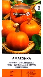 Pumpkin Amazonka Seed